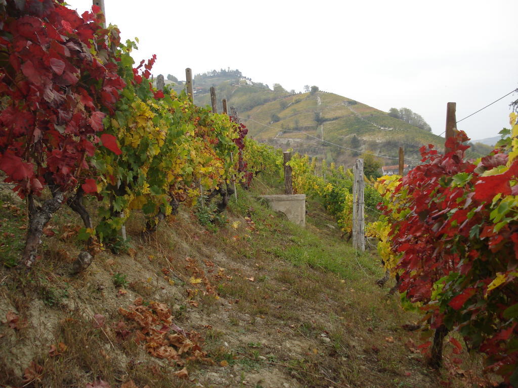 Agriturismo Cascina L'Arche Santo Stefano Belbo Dış mekan fotoğraf