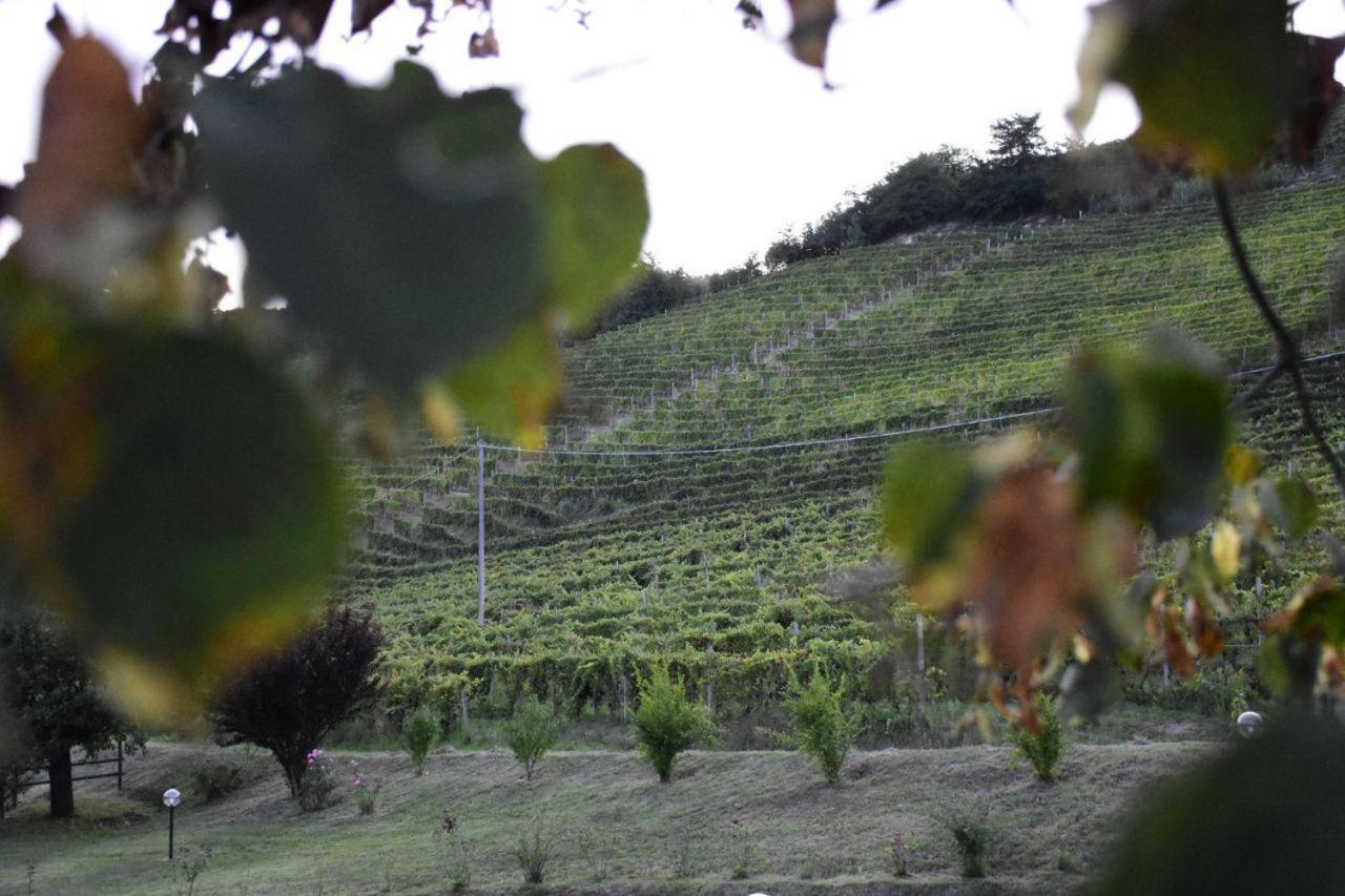 Agriturismo Cascina L'Arche Santo Stefano Belbo Dış mekan fotoğraf