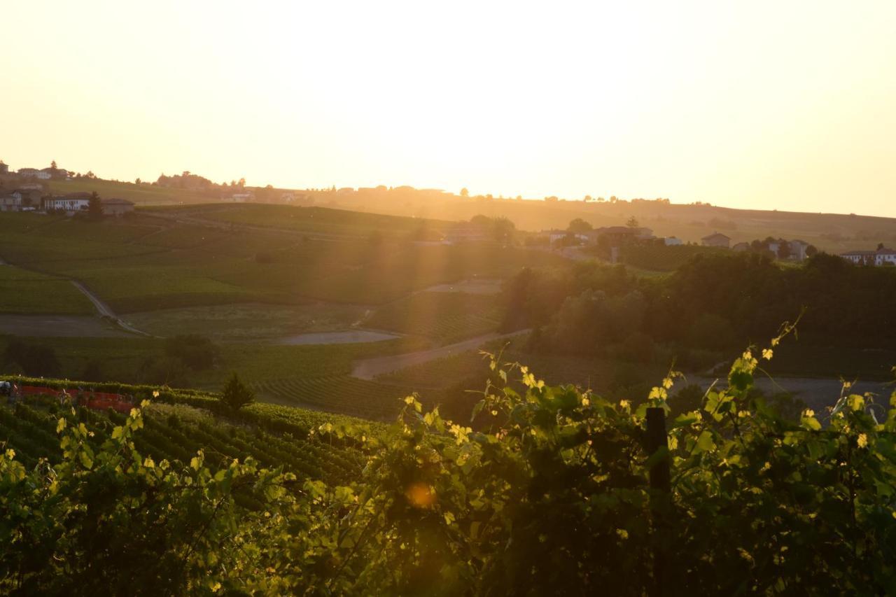Agriturismo Cascina L'Arche Santo Stefano Belbo Dış mekan fotoğraf